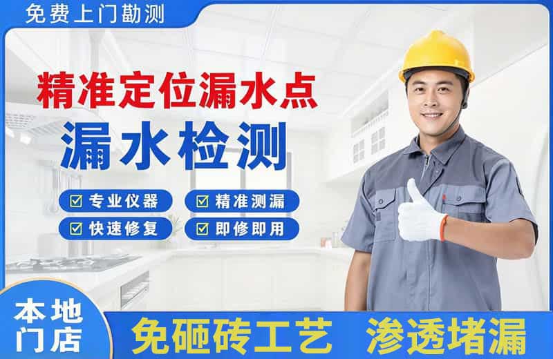 政和精准测漏点